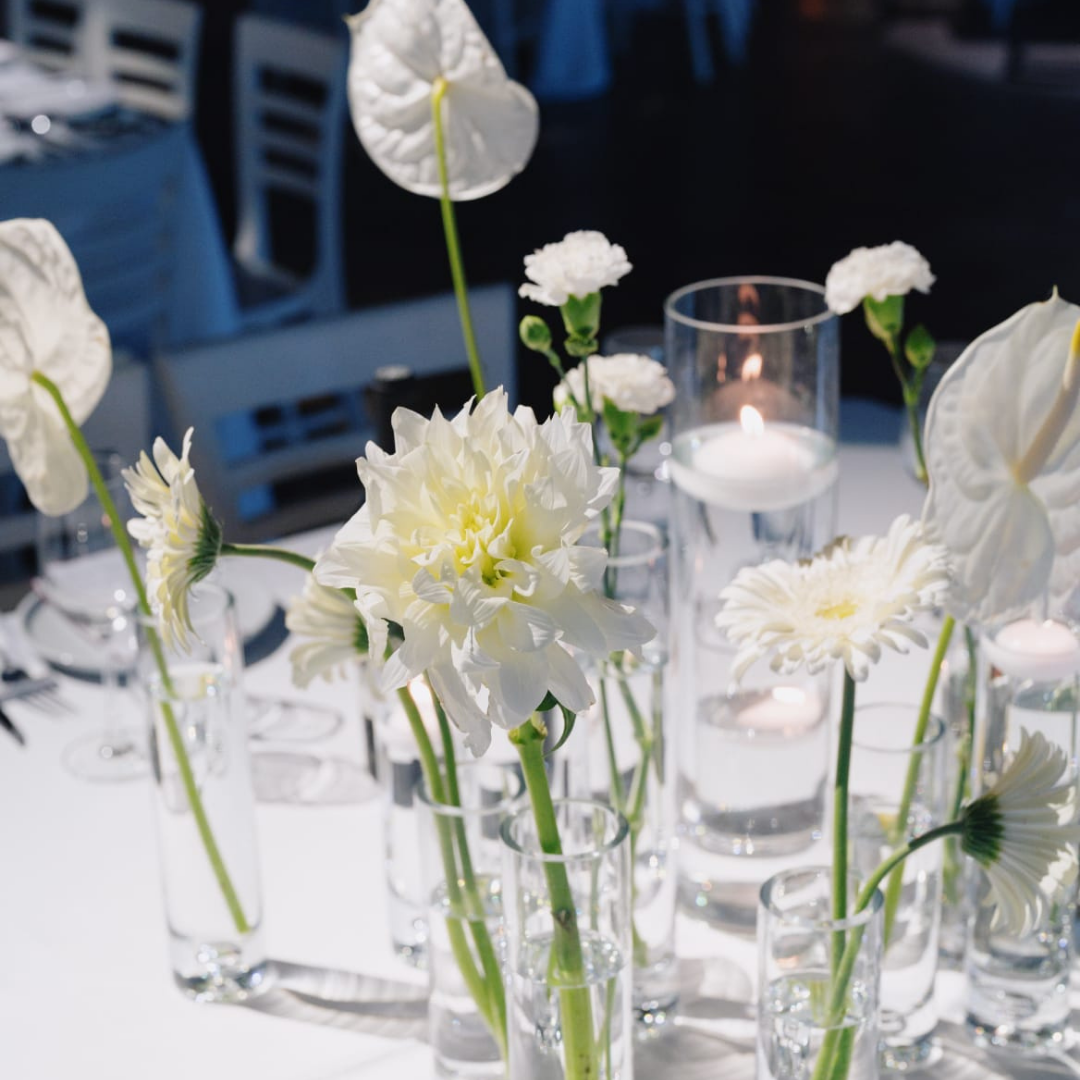 תמונות לאתר 10