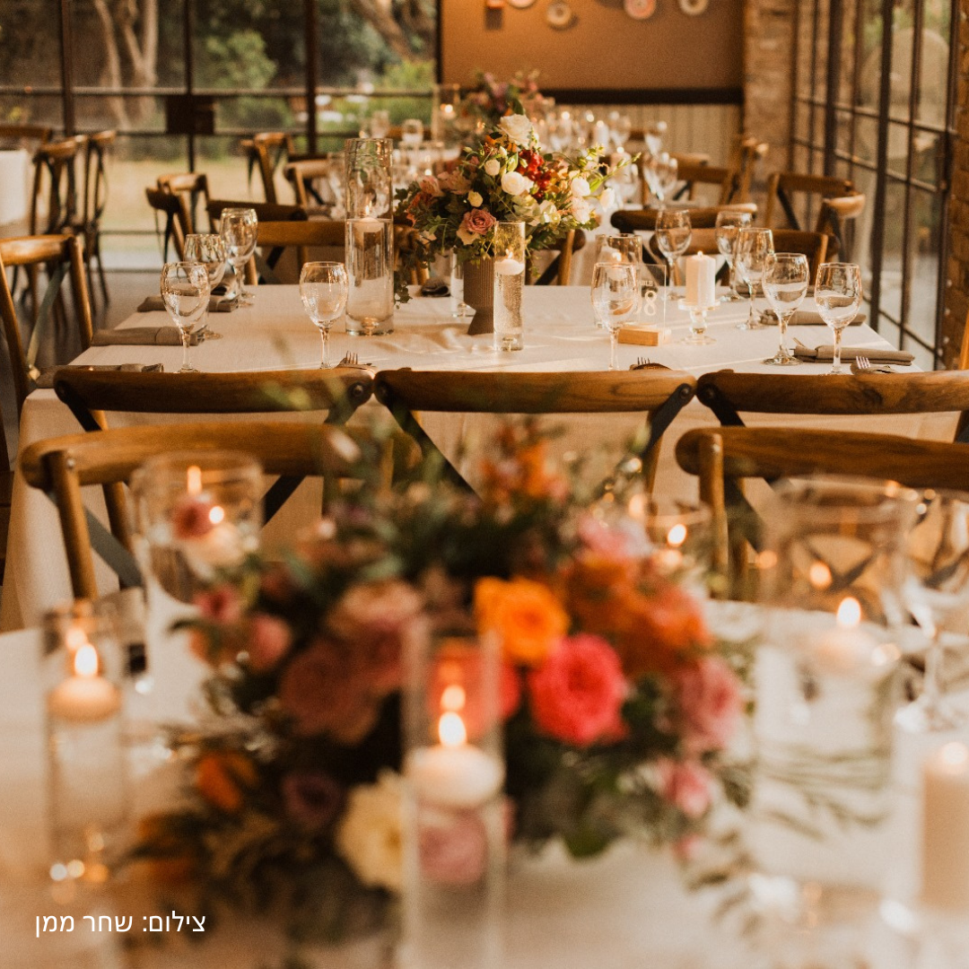 תמונות לאתר 3