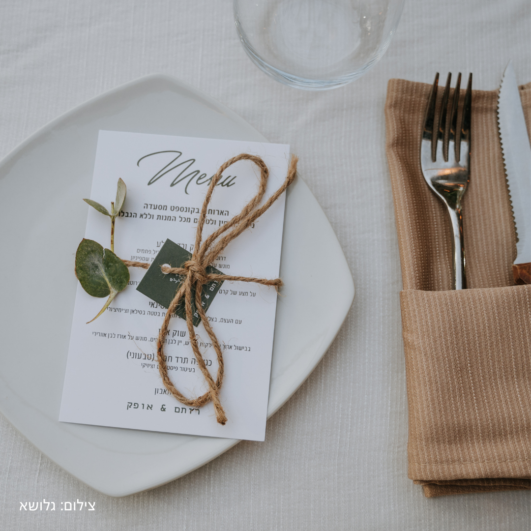 תמונות לאתר 4