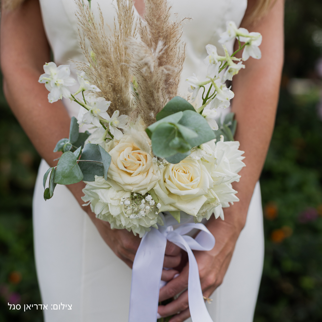 תמונות לאתר 8