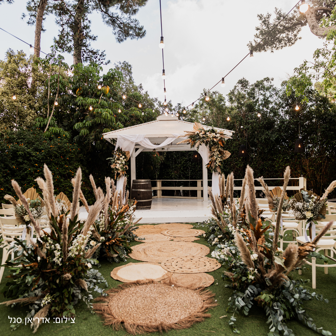 תמונות לאתר 9